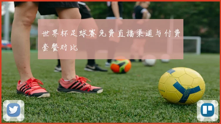 世界杯足球赛免费直播渠道与付费套餐对比