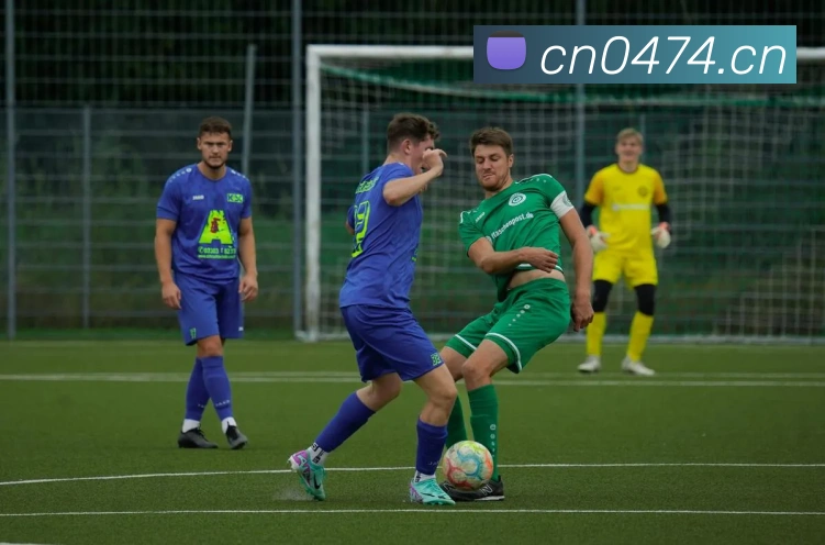 开云在线官网登录发展历程