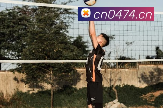 从新星到金靴：解析2010世界杯最佳射手的战术价值与影响